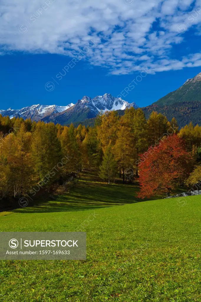 Austria, Europe, Tyrol, Tirol, Mieming, chain, plateau, Obsteig, Holzleiten, autumn, meadow, cherry tree, trees, wood, forest, larches, Red, green, Ye...