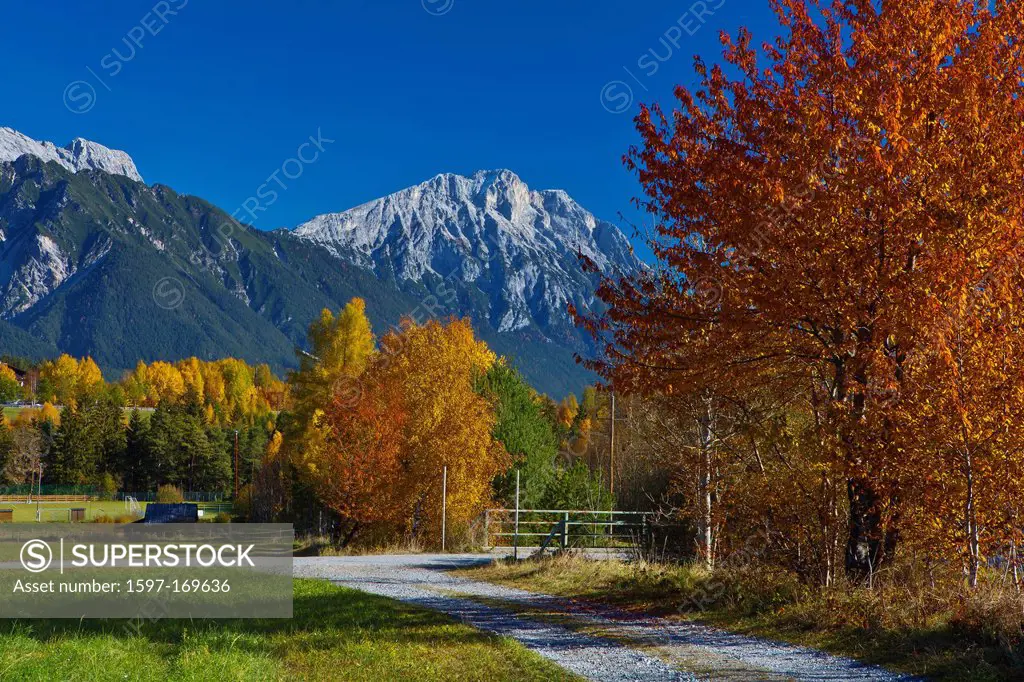 Austria, Europe, Tyrol, Tirol, Mieming, chain, plateau, Obsteig, autumn, trees, colorful, mountain, rest, rest, Mieming, chain, colorful, nature, clea...