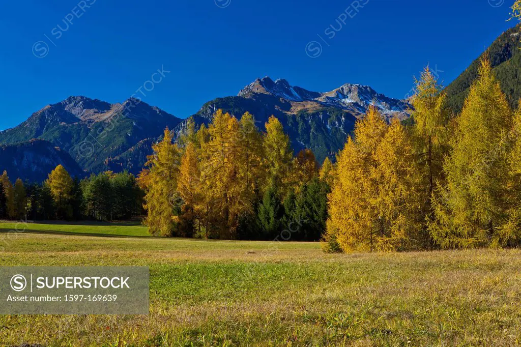 Austria, Europe, Tyrol, Tirol, Mieming, chain, plateau, Obsteig, Holzleiten, meadows, trees, larches, spruces, mountains, Lechtal Alps, Yellow, green,...