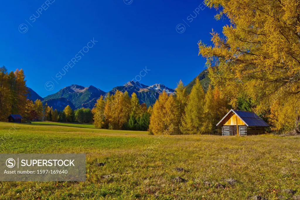 Austria, Europe, Tyrol, Tirol, Mieming, chain, plateau, Obsteig, Holzleiten, meadow, Stadel, trees, larches, Yellow, green, blue, sky, mountains, Lech...