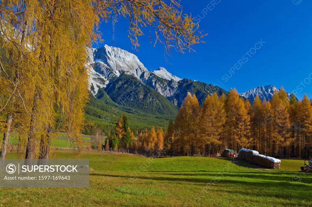 Austria, Europe, Tyrol, Tirol, Mieming, chain, plateau, Obsteig, larches, meadow, mountains, Hochplattig, lime alps, nature, man_made, cultural, lands...