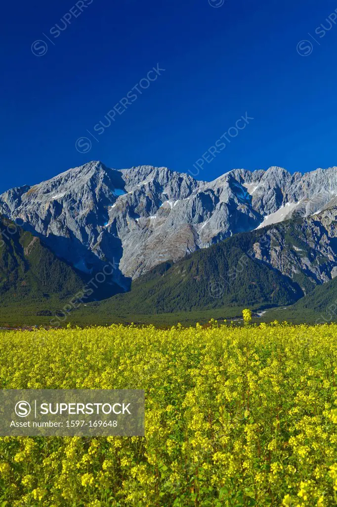 Austria, Europe, Tyrol, Tirol, Mieming, chain, plateau, Mieming, rape field, Yellow, blue, mountains, Hochplattig, Mieming, chain, lime alps, Alps, va...
