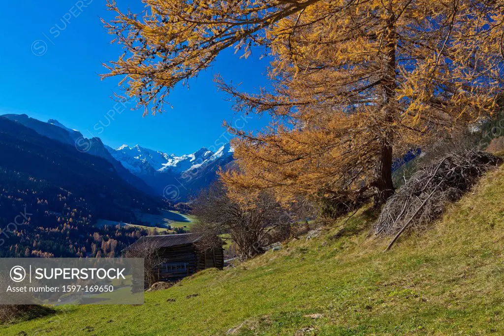Austria, Europe, Tyrol, Tirol, Gschnitztal, Trins, mountain pastures, larch, Stadel, mountains, Stubai Alps, snow, Feuerstein, wood, forest, traveling...
