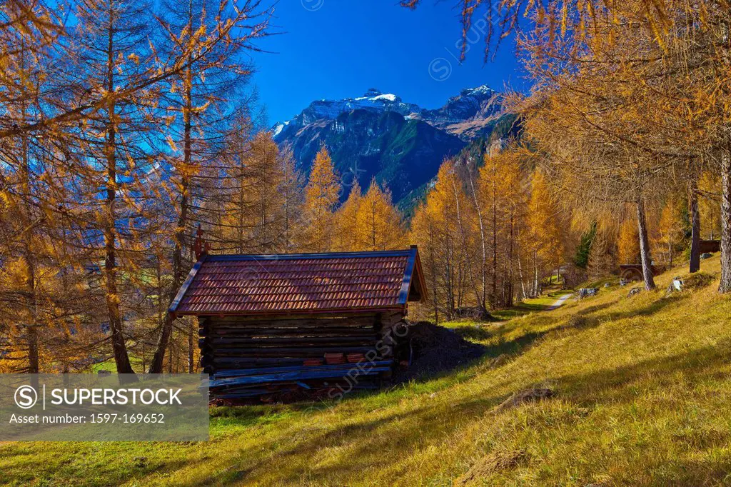 Austria, Europe, Tyrol, Tirol, Gschnitztal, Trins. Mountain pastures, meadows, Stadel, hay barn, larches, mountains, Tribulaun, Stubai Alps, snow, blu...