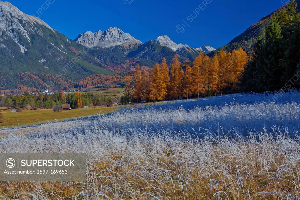 Austria, Europe, Tyrol, Tirol, Gurgltal, Nassereith, Dormitz, meadows, white frost, larches, orange, white, blue, sky, mountains, Marienbergspitze, Mi...
