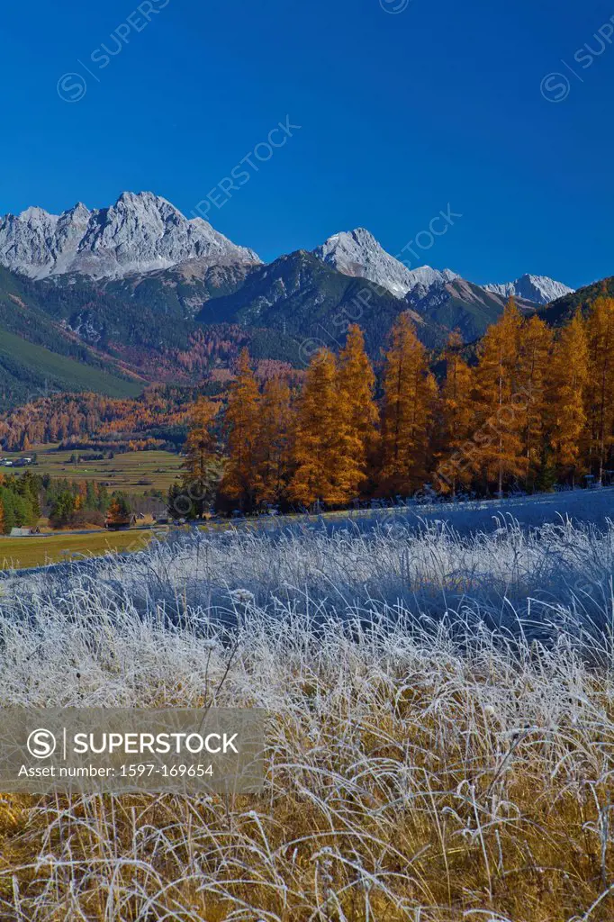 Austria, Europe, Tyrol, Tirol, Gurgltal, Nassereith, meadows, white frost, autumn, late autumn, larches, mountains, Marienbergspitze, Mieming, chain, ...