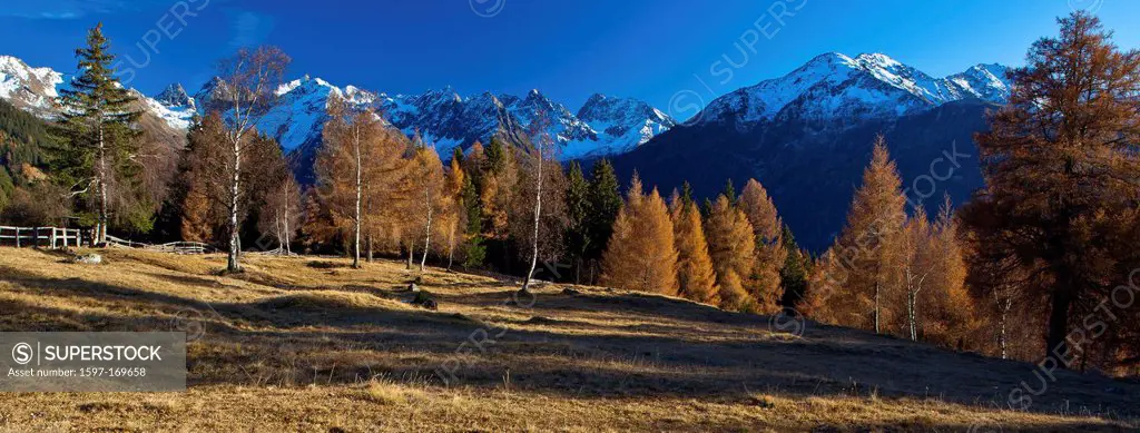 Austria, Europe, Tyrol, Tirol, Kaunertal, mountain Kauner, mountain pastures, birches, larches, mountains, Kaunergrat, Ötztal, Alps, snow, autumn, lat...