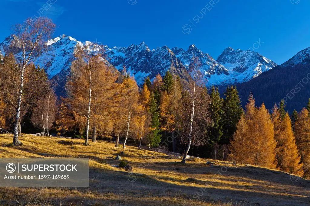 Austria, Europe, Tyrol, Tirol, Kaunertal, mountain Kauner, mountain pastures, birches, larches, mountains, snow, Kaunergrat, Ötztal, Alps, mountain po...