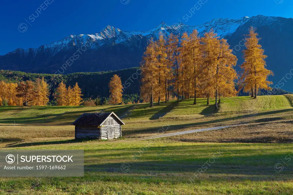 Austria, Europe, Tyrol, Tirol, Mieming, chain, plateau, Mieming, meadows, larches, Stadel, wood, forest, mountains, Stubai Alps, snow, autumn, nature,...