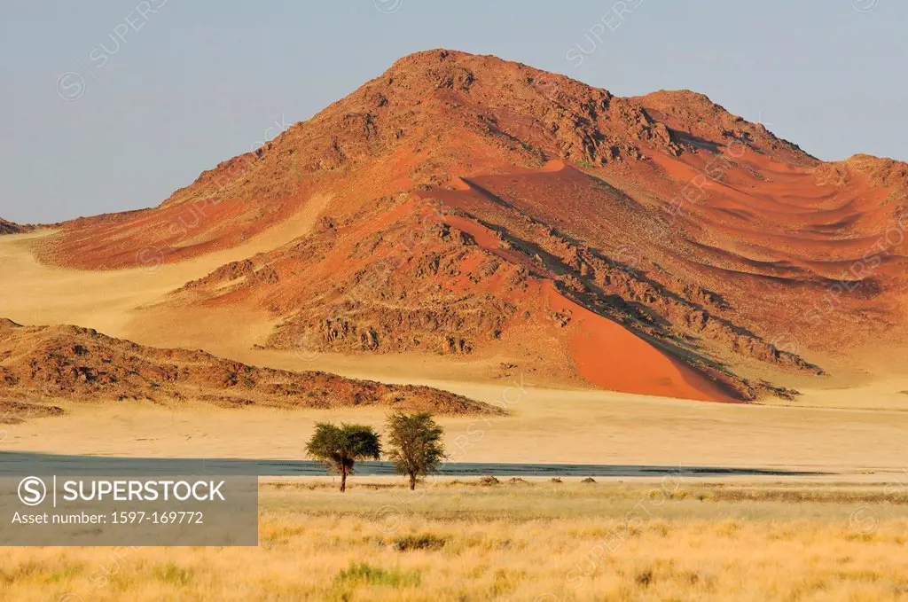 Africa, Dunes, Namib, Naukluft, Park, Namibia, Sossusvlei, Trees, desert, mountain, plains, red, sand, rocks, savannah