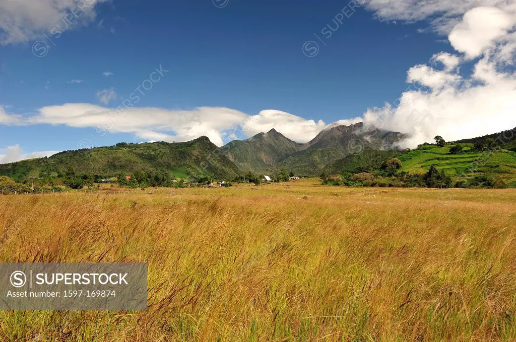 Landscape, Volcan Baru, Panama, Central America, field