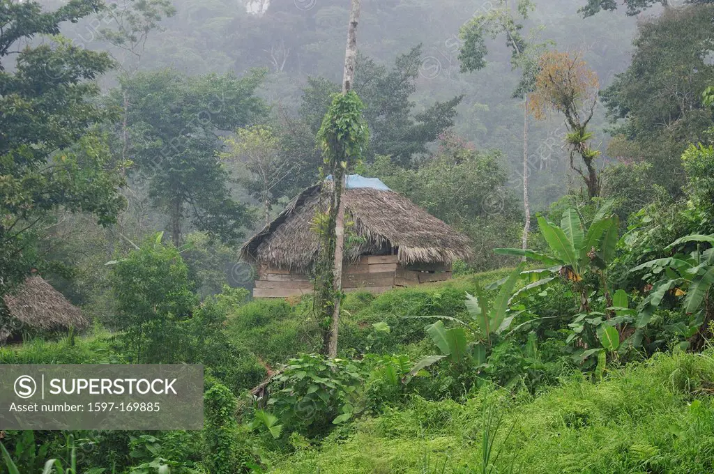 Hut, straw, roof, village, remote, tropical, Home, forest, Los Alvarados, Valle Abajo, Panama, Central America,