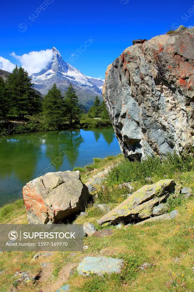 Alps, Alpine panorama, view, tree, mountain, mountains, panorama, mountain lake, trees, cliff, rock, summit, Grindjisee, scenery, Matterhorn, Matterta...