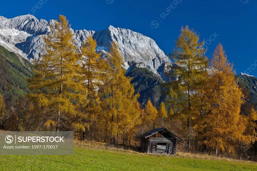 Austria, Europe, Tyrol, Tirol, Mieming, chain, plateau, Obsteig, autumn, meadow, Stadel, mountains, Hochplattig, Mieming, chain, lime alps, larches, Y...