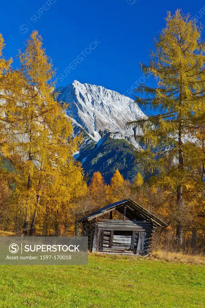Austria, Europe, Tyrol, Tirol, Mieming, chain, plateau, Obsteig, meadow, wood, forest, Stadel, mountain, Hochplattig, high, larches, Yellow, blue, gre...