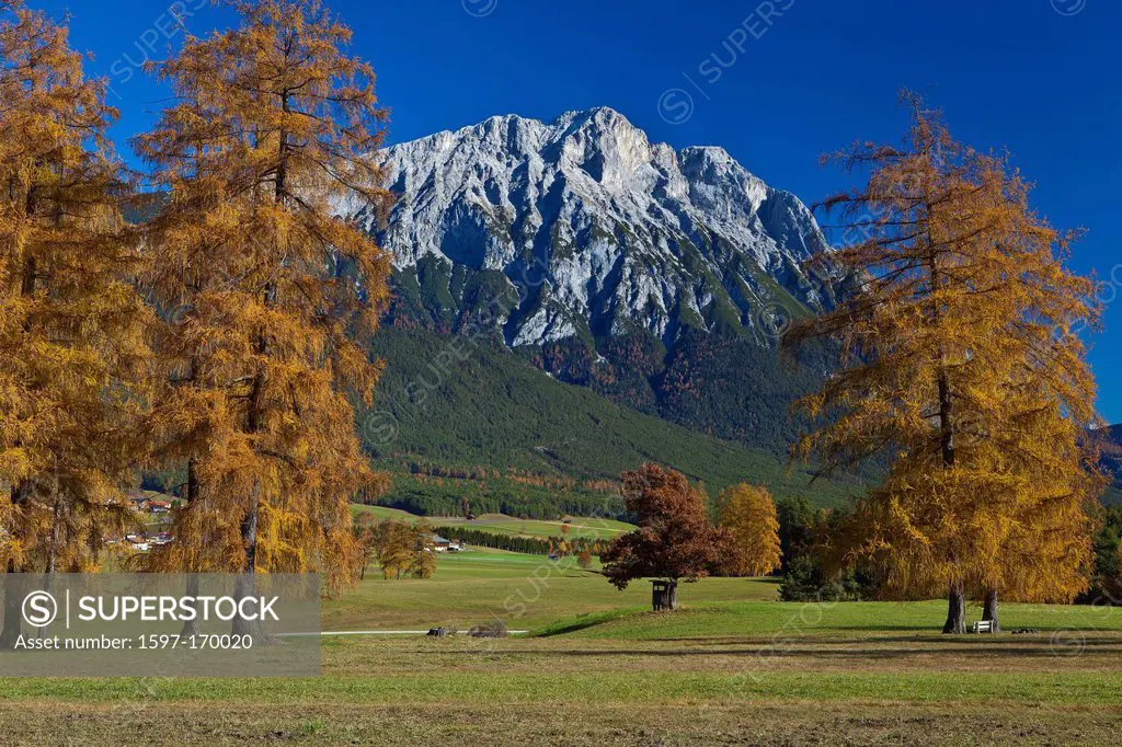 Austria, Europe, Tyrol, Tirol, Mieming, chain, plateau, Wildermieming, larches, meadow, wood, forest, mountain, rest, rest, sky, blue, Yellow, gray, o...