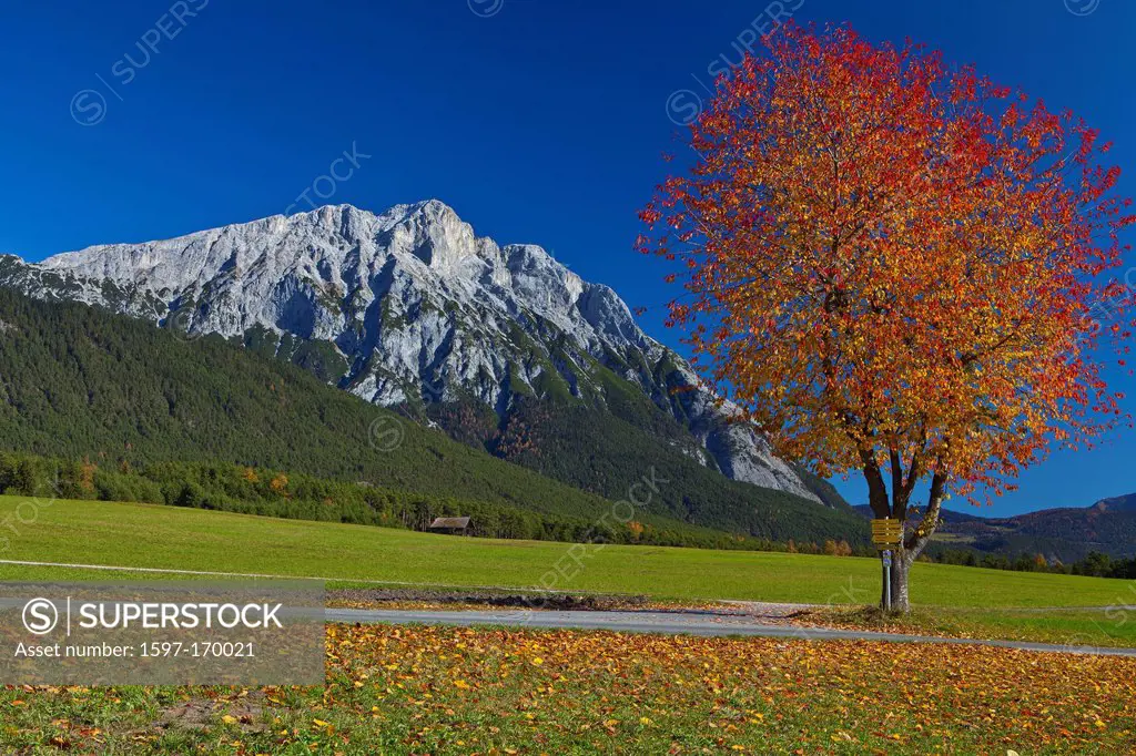 Austria, Europe, Tyrol, Tirol, Mieming, chain, plateau, Wildermieming, autumn, mountain, rest, rest, cherry tree, Red, green, blue, colorful, sky, nat...