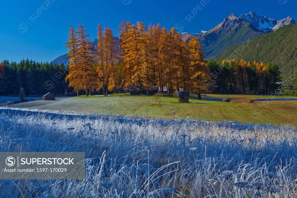 Austria, Europe, Tyrol, Tirol, Gurgltal, Nassereith, meadows, white frost, autumn, late autumn, larches, Stadel, wood, forest, mountains, Lechtal Alps...