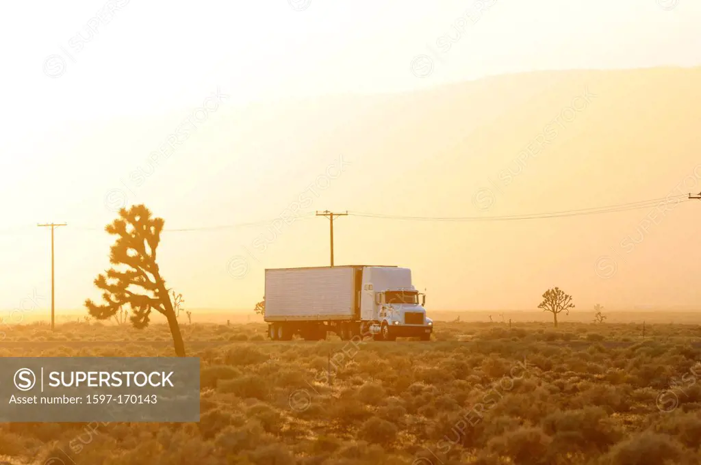 USA, United States, America, California, San Bernadino County, Mojave, desert, Joshua, tree, sunset, highway, truck, drive