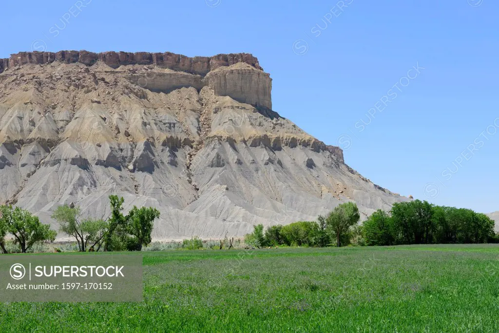 America, USA, United States, Colorado Plateau, Utah, erosion, desert, irrigation, grass, cliff
