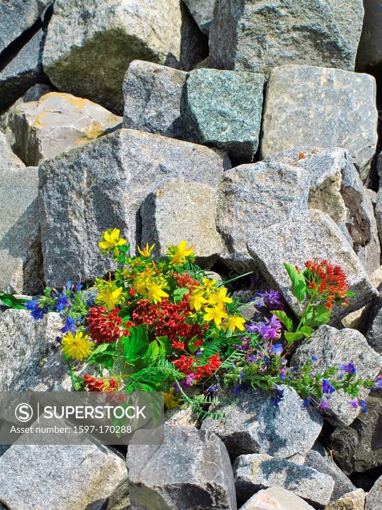 Stones, struck, ashlar, masonry units, flowers, arranges, bouquet