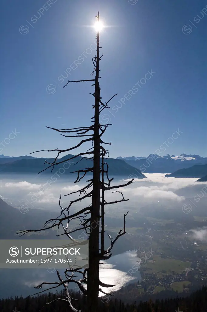 sea of fog, Auseerland, Styria, Austria, Altaussee, Grimming, bath Village Tern, Wood, Forest, Mountains, Tree, sun,