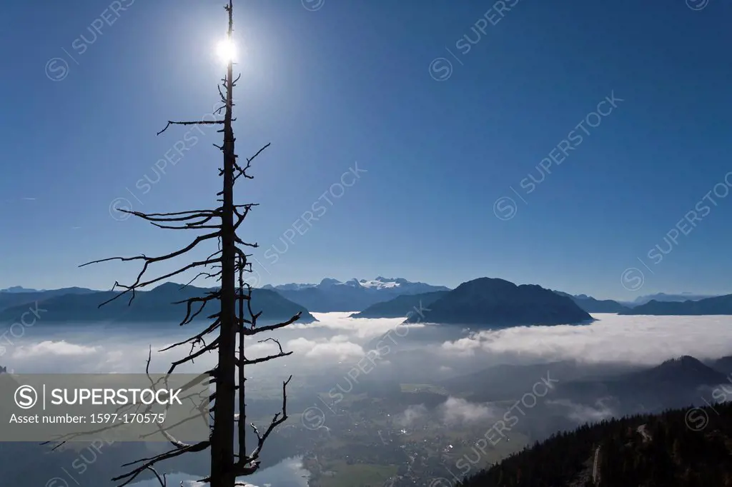 sea of fog, Auseerland, Styria, Austria, Altaussee, Grimming, bath Village Tern, Wood, Forest, Mountains, Tree, sun,