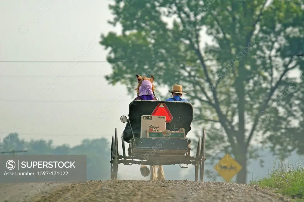 Canada, Horse, carriage, Mennonite, heritage, Ontario, St. Jacobs, buggy, countryside, couple, man, woman, day, daytime, drawn, dusty, female, horse d...