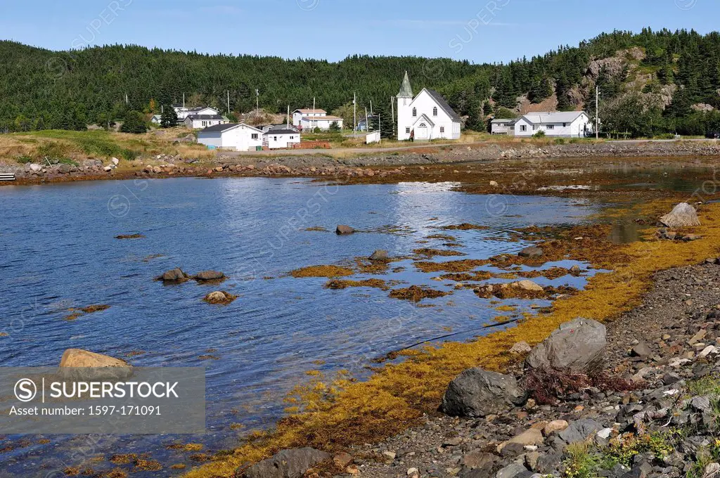 Fishing Village, North Coast, Newfoundland, Canada, village, water, forest