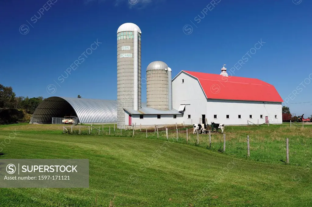 Blue, Sky, Canada, Farm, Green, Rimouski, barn, cows, dairy, field, grain, silo, agriculture, Quebec,