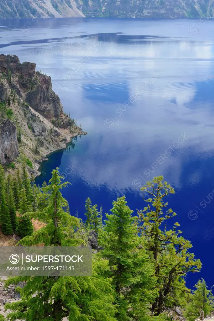 Pacific Northwest, Oregon, USA, United States, America, Cascade Mountains, Crater Lake, National Park, edge, blue, water, tree, trees, green, landscap...
