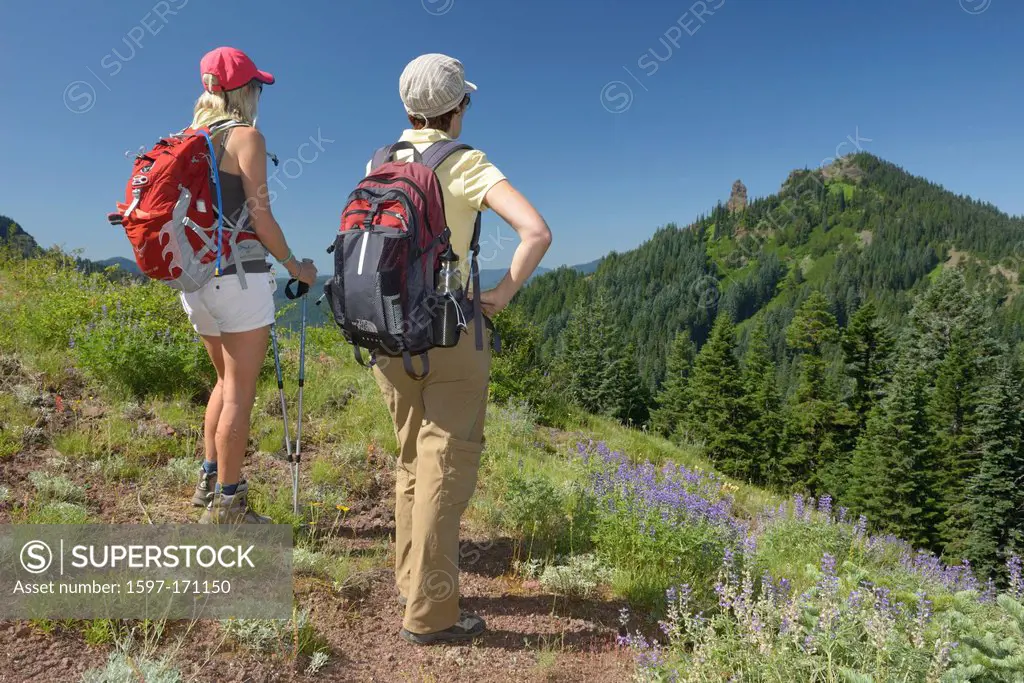 Pacific Northwest, Cascade Mountains, Oregon, USA, United States, America, wild flowers, lupine, hiking, women, meadow, Iron Mountain
