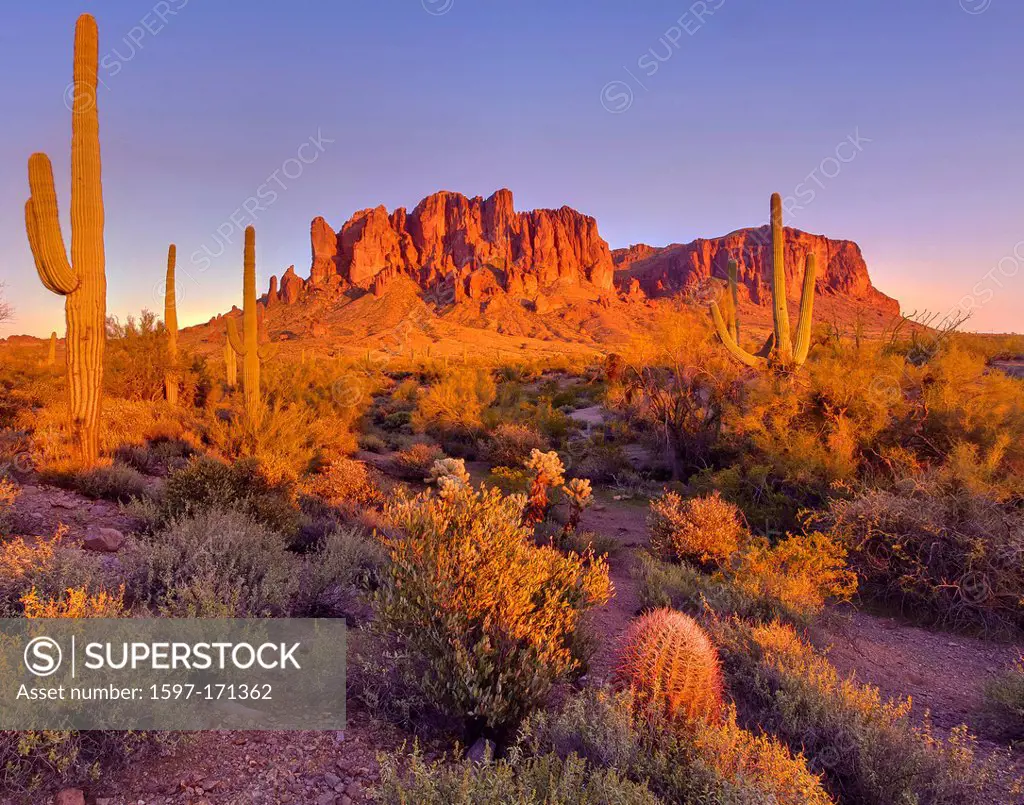 USA, United States, America, Arizona, American, Southwest, Superstition Mountains, Lost Dutchman, State Park, park, Apache Junction, mountains, cactus...