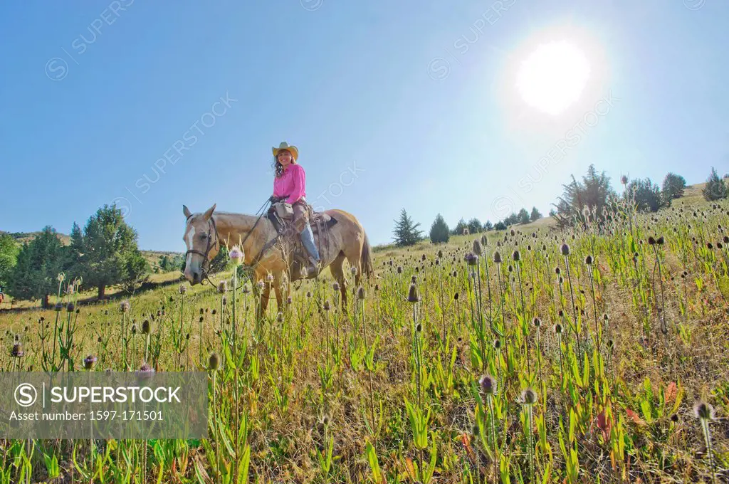 Pacific Northwest, American west, Oregon, USA, United States, America, cowgirl, girl, woman, flowers, meadow, backlight, sun, summer, horseback, horse