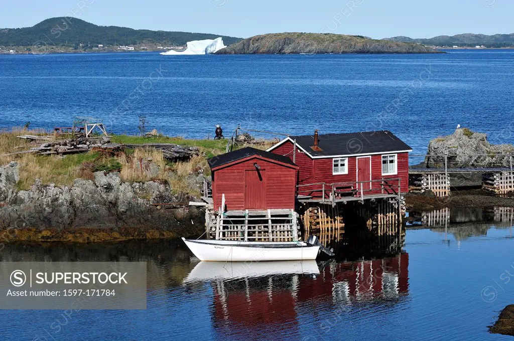 Fishing Village, North Coast, Newfoundland, Canada, village, water, forest, cabin,