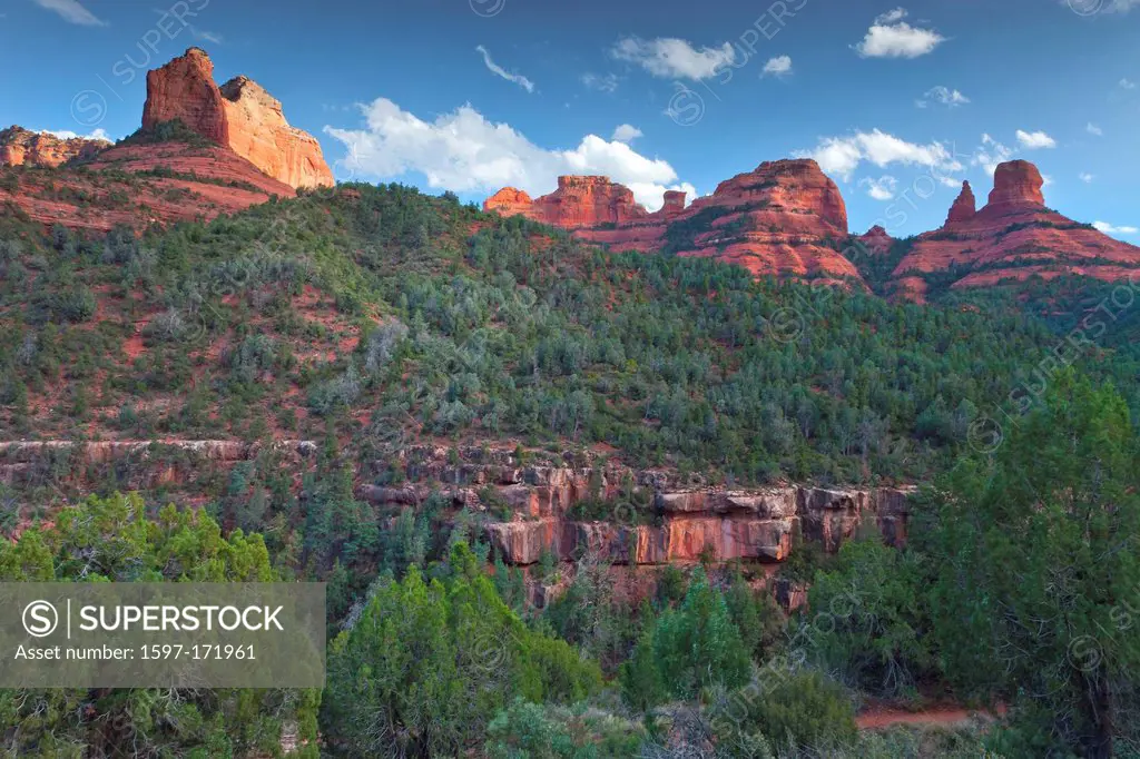 USA, United States, America, Arizona, American, Southwest, Sedona, Red Rock Crossing, Cathedral Rock, red rock, rock, rock formation, trees, vegetatio...