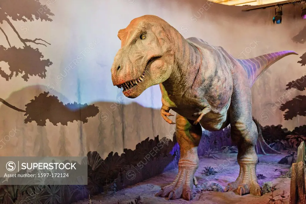 England, London, Kensington, Natural History Museum, T_Rex Dinosaur