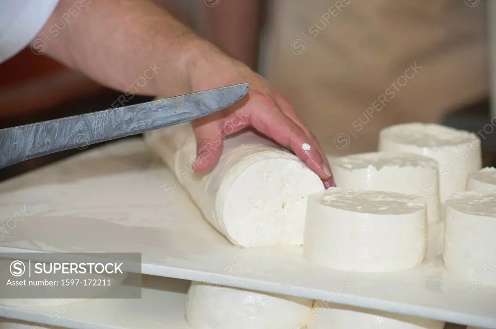 Switzerland, Europe, Vaud, Saint George, food, cheese, tradition, cheese factory, craft, AOC, Vacherin, Mont_d´Or, milk product, St_George