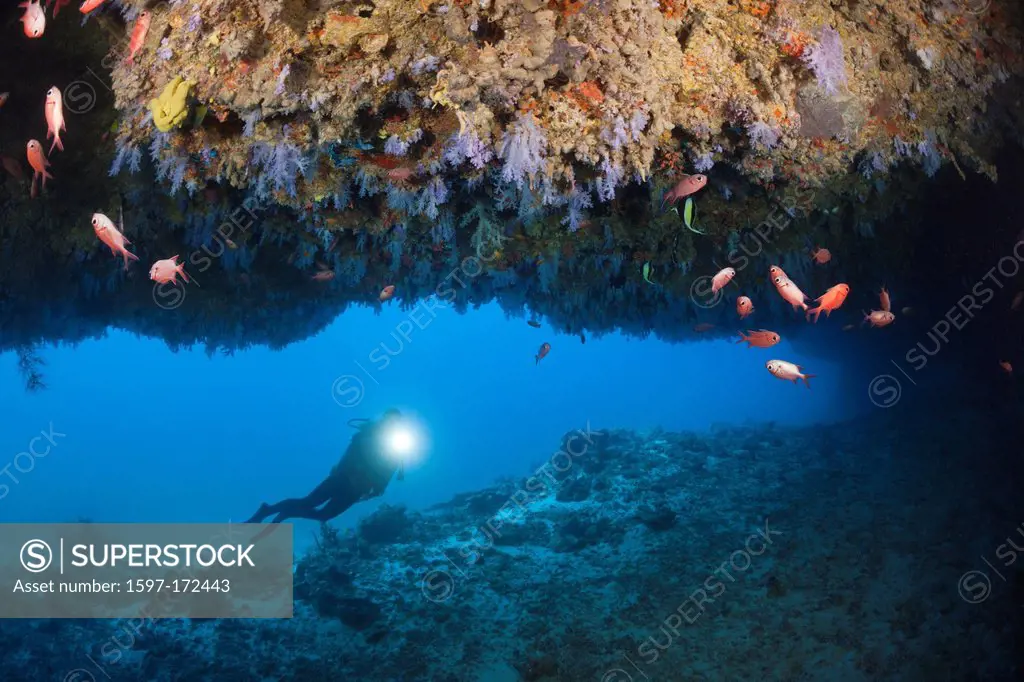 Scuba Diver explores Cave, North Male Atoll, Maldives