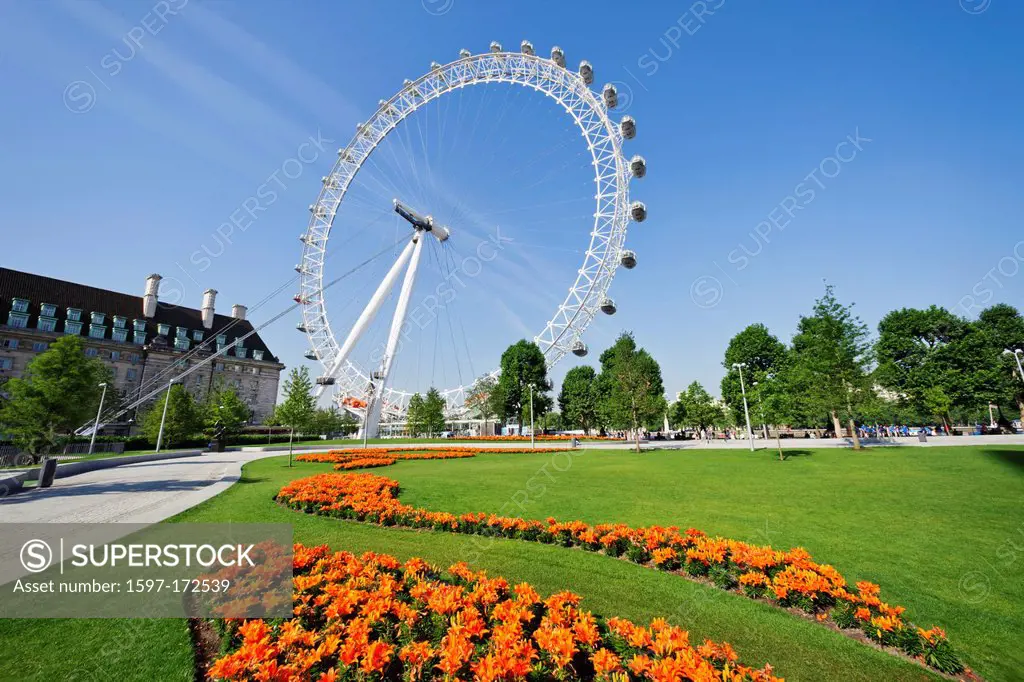England, London, London Eye and Jubilee Gardens