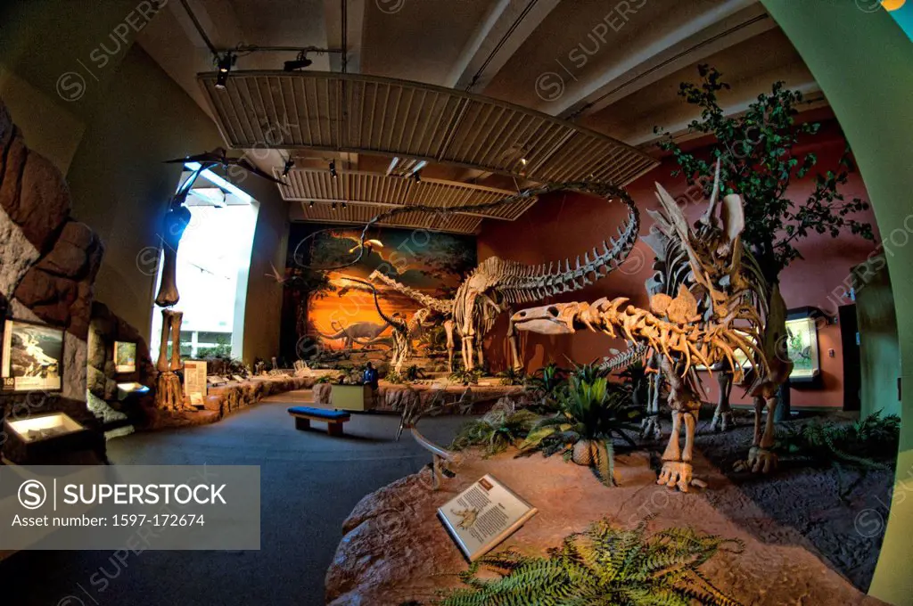 New Mexico, USA, United States, America, museum, natural history, Albuquerque, dinosaur