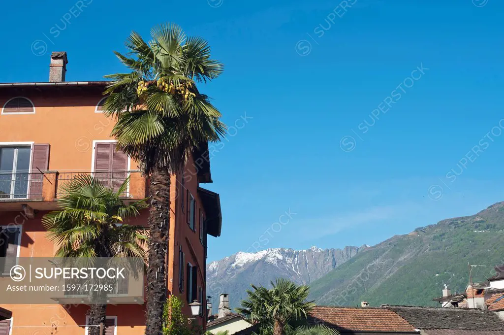 Switzerland, Europe, Ticino, Ascona, houses, homes, palms, touristical,