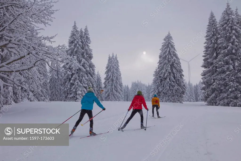 cross_country, ski, Jura, winter, canton, JU, Jura, cross_country, ski, winter sports, wood, forest, Switzerland, Europe, group