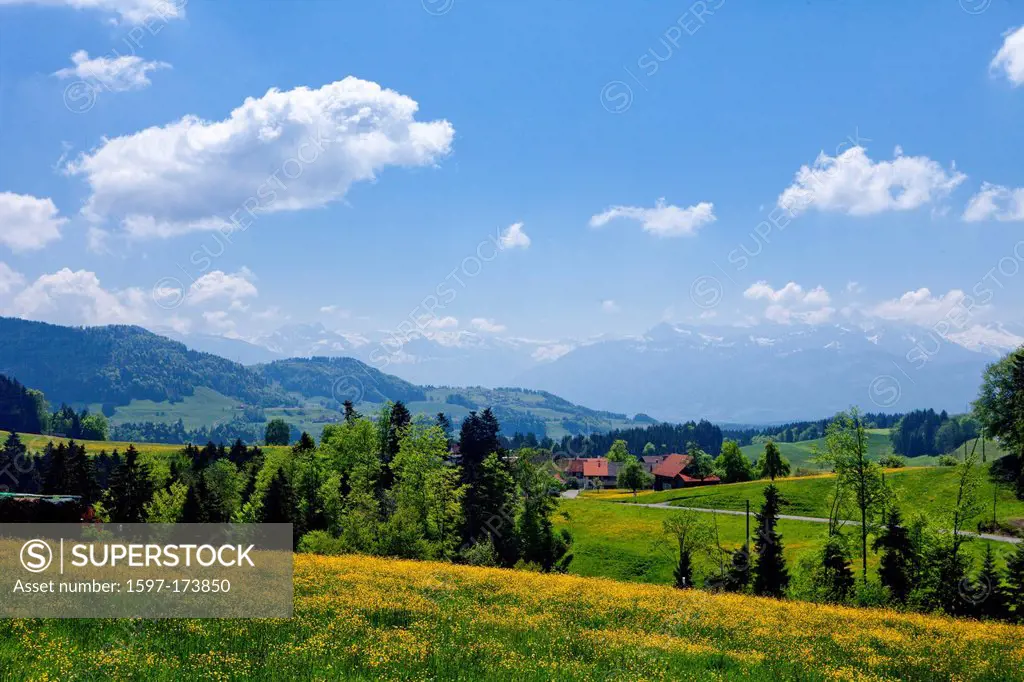 Gibswil, Tösstal, canton, ZH, Zurich, Switzerland, Europe, scenery, landscape, hill, spring