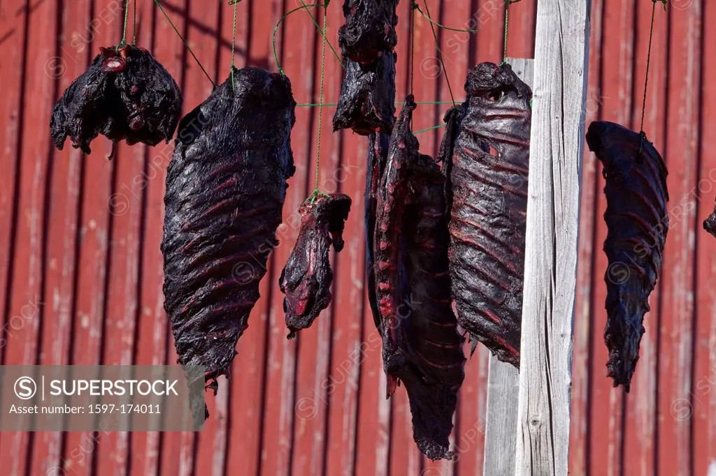 Seal meat, Greenland, East Greenland, food, Food, dry,