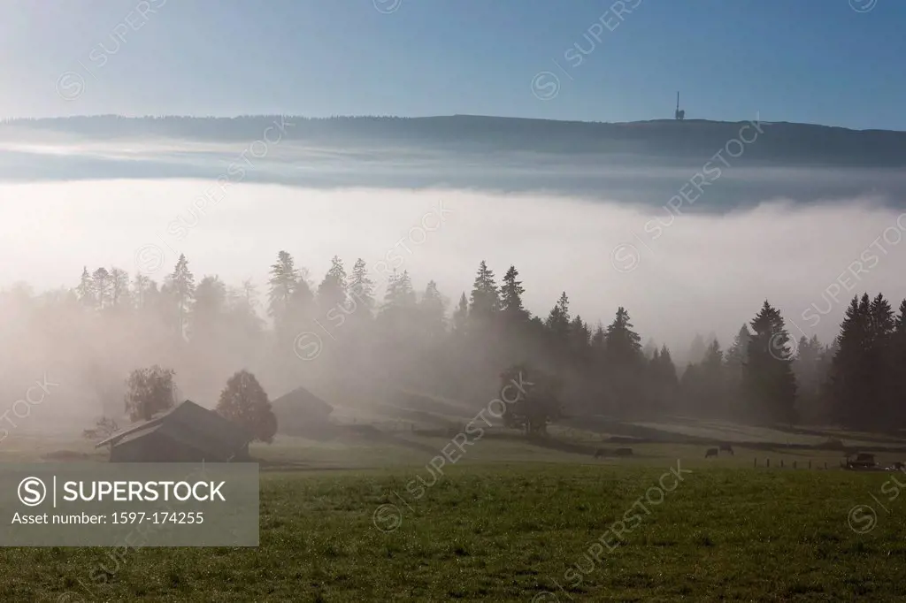 Mont Crosin, sea of fog, fog, Chasseral, agriculture, fog, sea of fog, fog, canton, Bern, JU, Jura, autumn, Switzerland, Europe, antenna