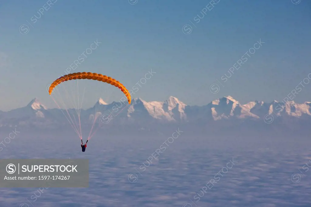 Paraglider, paragliding, sea of fog, fog, Bernese, Alps, autumn, canton, Bern, mountain, mountains, Bernese, Alps, Eiger, Jungfrau, monk, Mönch, Eiger...
