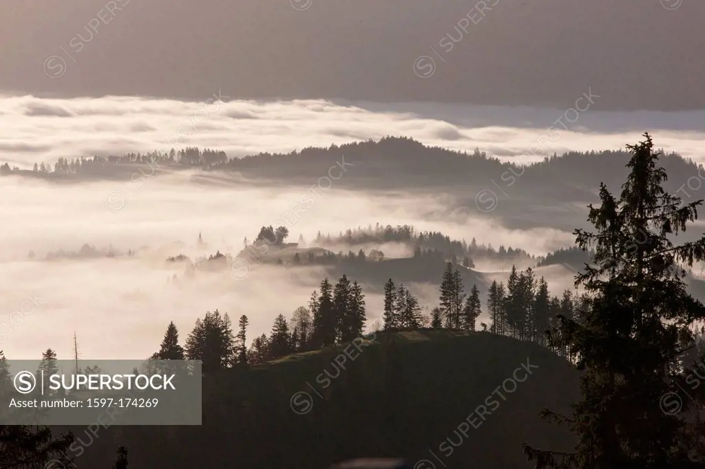 Napf, sea of fog, fog, Entlebuch, tree, trees, autumn, mountain, mountains, canton, Bern, LU, Lucerne, Luzern, Switzerland, Europe, Entlebuch