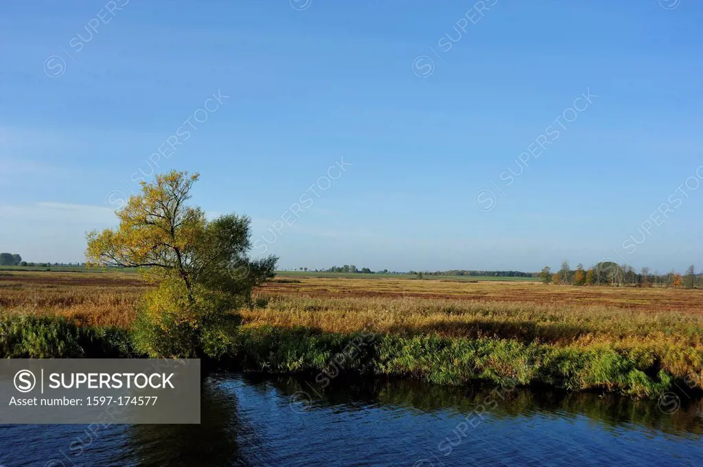 River, Peene, riverside, river basin, moorland, autumn, autumn colours, Mecklenburg_Vorpommern, Germany