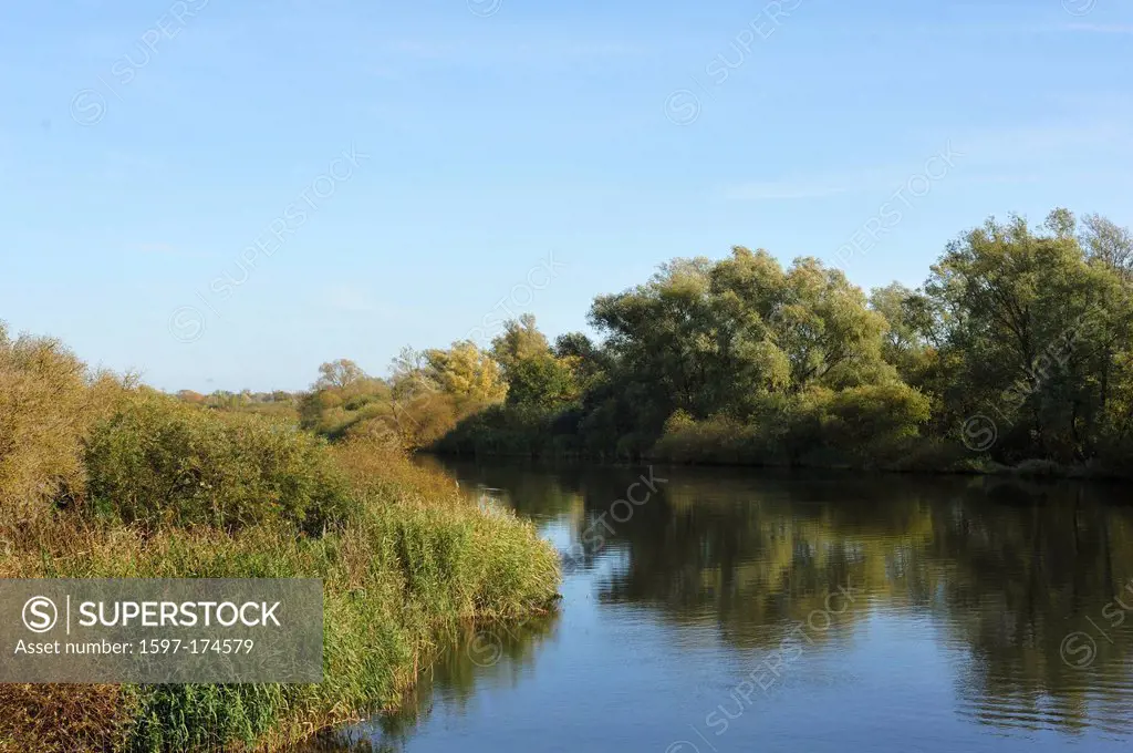River, Peene, riverside, river basin, reeds, autumn, autumn colours, Mecklenburg_Vorpommern, Germany